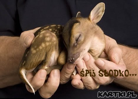 ♥Dobranoc ! Śpij słodko !