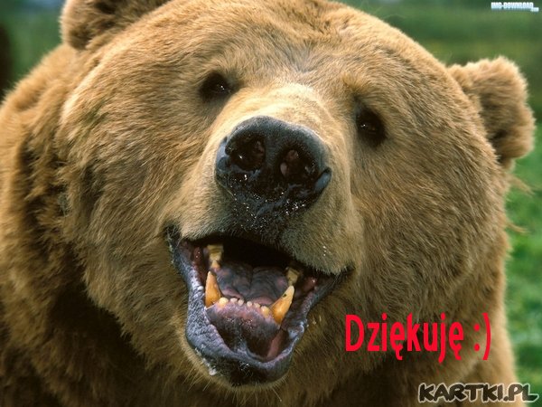 Dziękuję