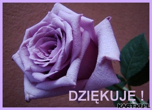 * DZIĘKUJĘ CI *
