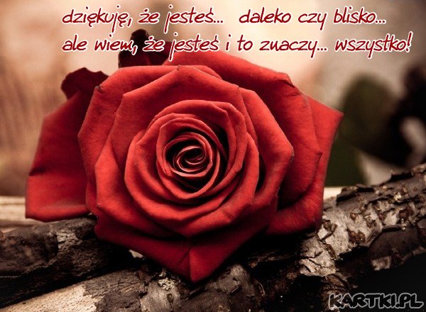 Dziękuję,że Jesteś...