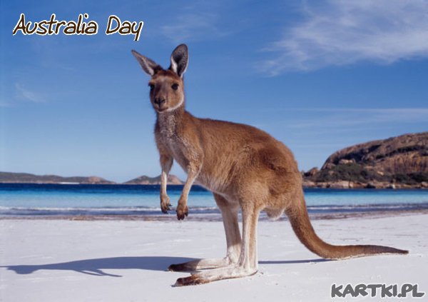 Dzień Australii