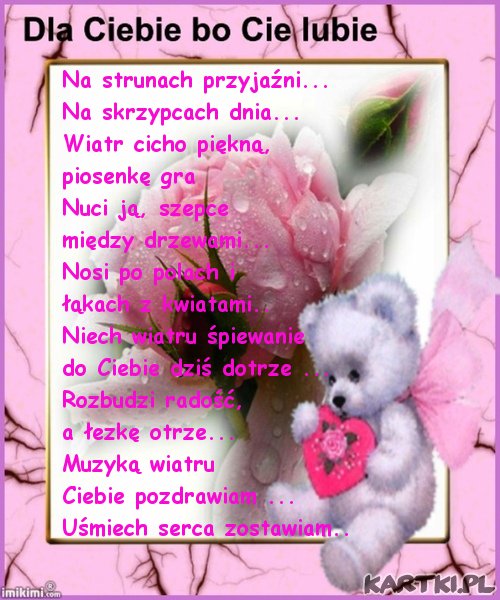Dzień dobry !