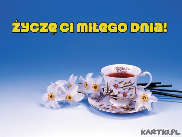 Dzień dobry!