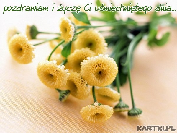 Dzień dobry...