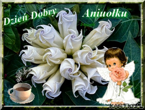 Dzień Dobry Aniołku :-)