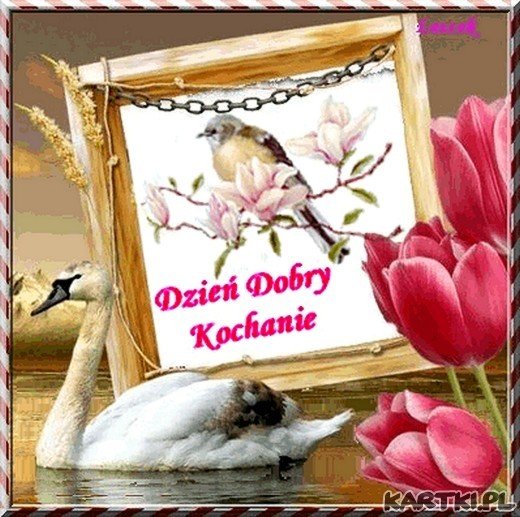 Dzień Dobry Kochanie :-)