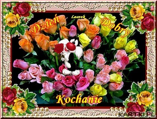 Dzień Dobry Kochanie 