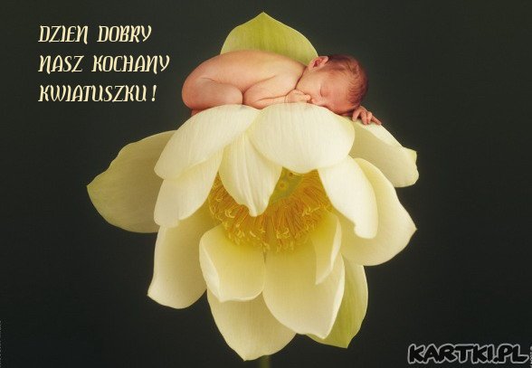 DZIEN DOBRY NASZ KWIATUSZKU