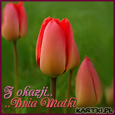 Dzień Matki