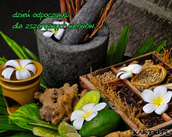 Dzień odpoczynku dla zszarganych nerwów