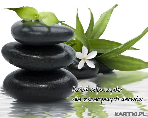 Dzień odpoczynku dla zszarganych nerwów
