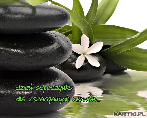 Dzień odpoczynku dla zszarganych nerwów
