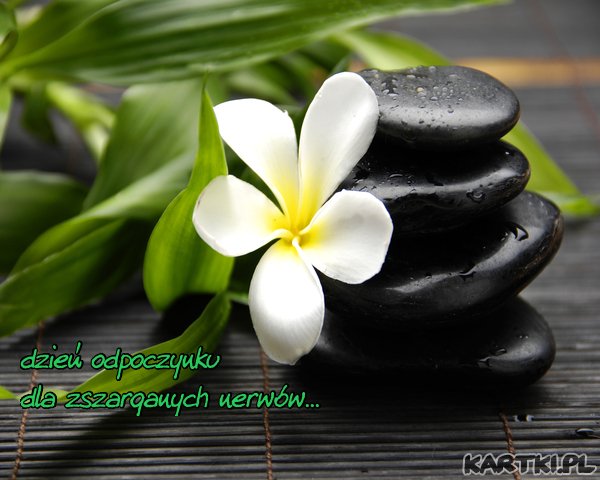 Dzień odpoczynku dla zszarganych nerwów
