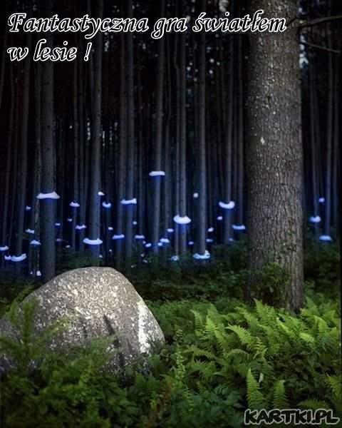 Fantastyczna gra światłem 