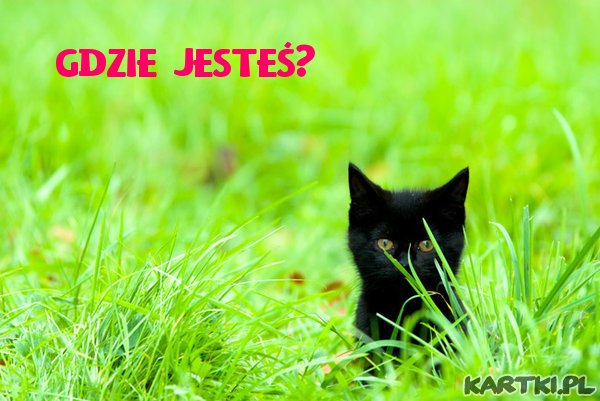 Gdzie jesteś?