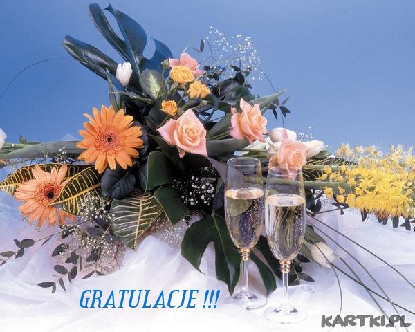 Gratulacje!!!