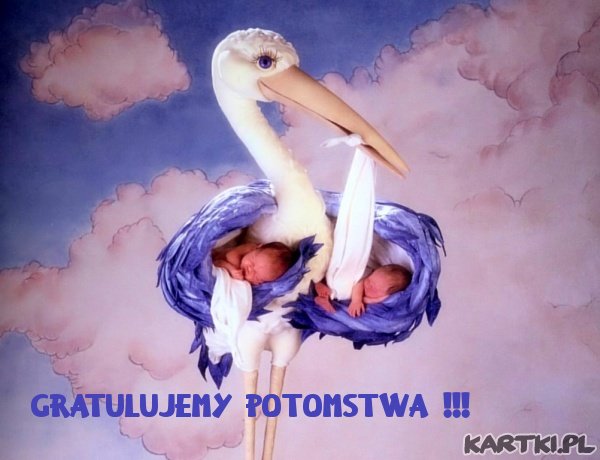 Gratulujemy potomstwa !!!