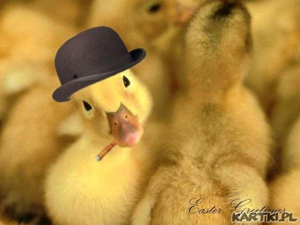 Happy Easter