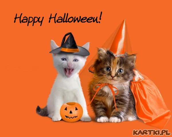 Happy Halloween