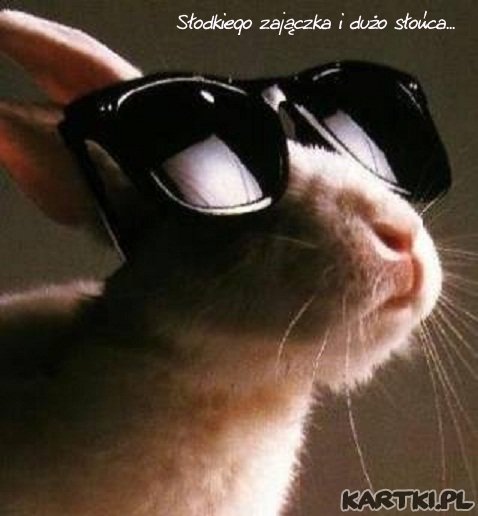 ...i duzo slonca w te swiateczne dni....