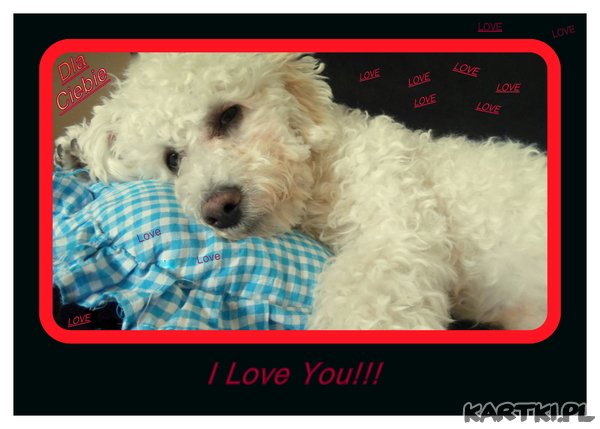 I LOVE YOU