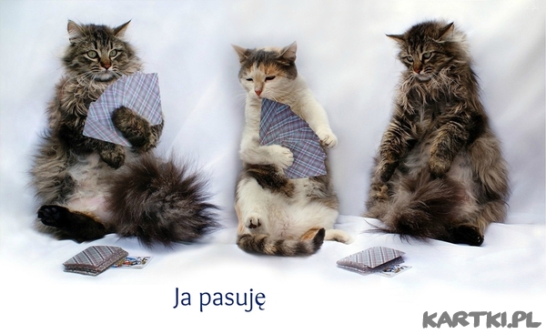 Ja pasuję