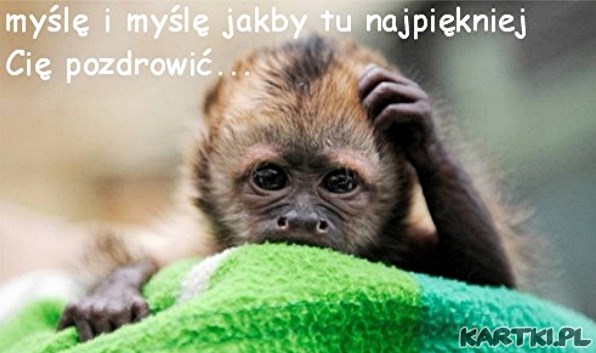 Jakby tu najpiękniej Cię pozdrowić?