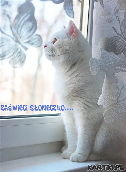 ♥jaki bedzie dzis dzien....