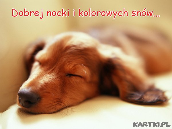 Jamniczkowe pozdrowienia