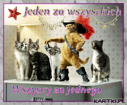 Jeden za wszystkich ...