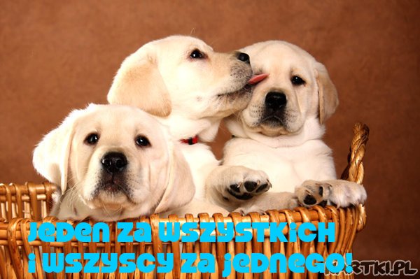 Jeden za wszystkich i wszyscy za jednego!Jeden za wszystkich i wszyscy za jednego!