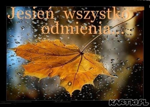Jesień wszystko odmienia.