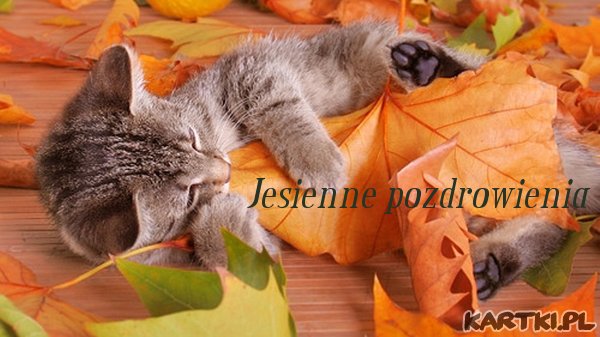 JESIENNE POZDROWIENIA