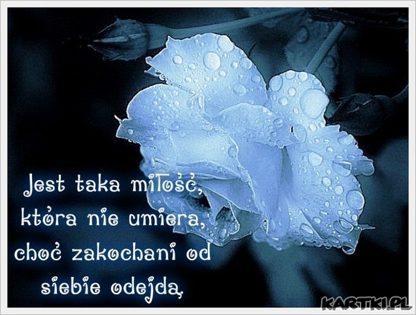 Jest taka miłość,która nie umiera...