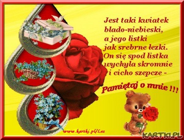 Jest taki kwiatek ...