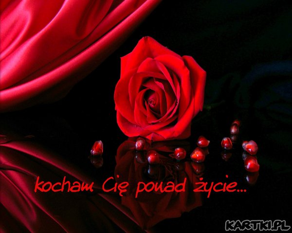 Kocham Cię