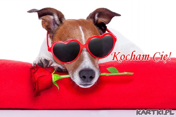 Kocham Cię