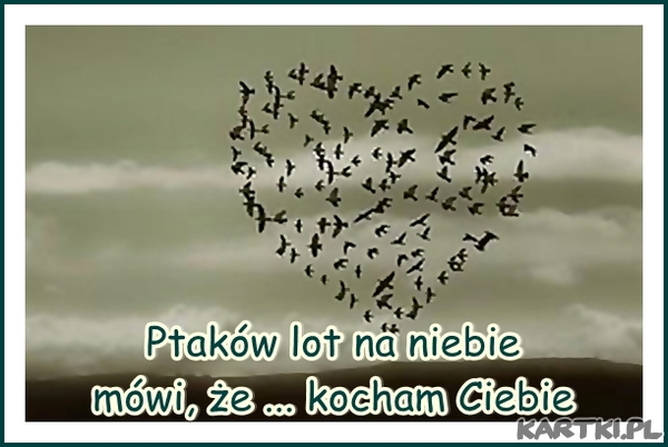 Kocham Ciebie