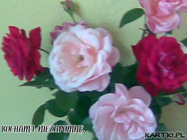 Kocham i niezapomnę.