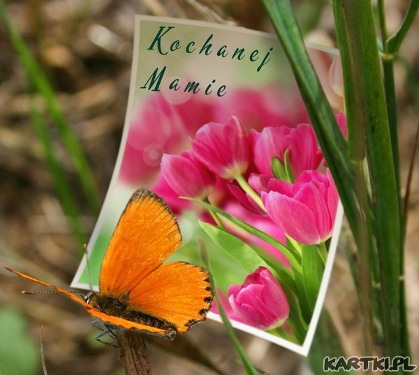 Kochanej Mamie