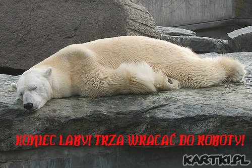 Koniec laby!