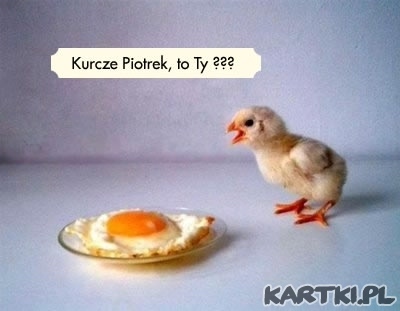 Kurcze Piotrek, to Ty???
