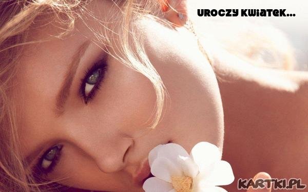 ♥kwiatek...