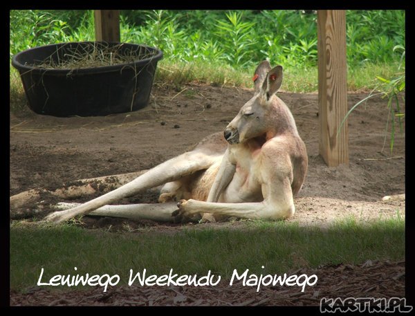 Leniwego Weekendu Majowego