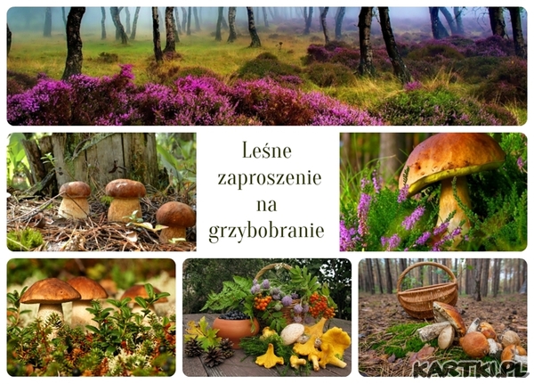 Leśne zaproszenie na grzybobranie