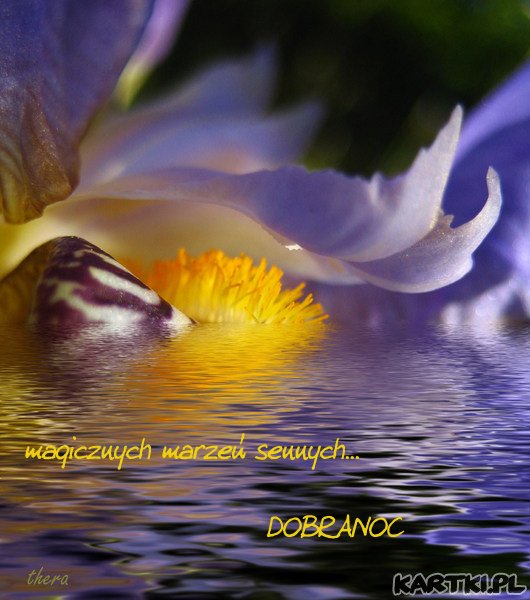 Magicznych Marze Sennych DOBRANOC KARTKI pl