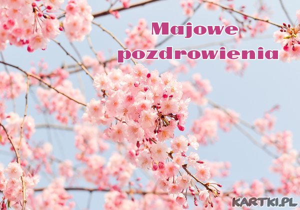 Majowe pozdrowienia