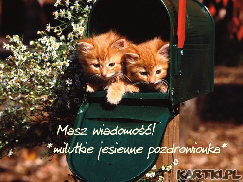 Masz wiadomość!- Milutkie jesienne pozdrowionka-