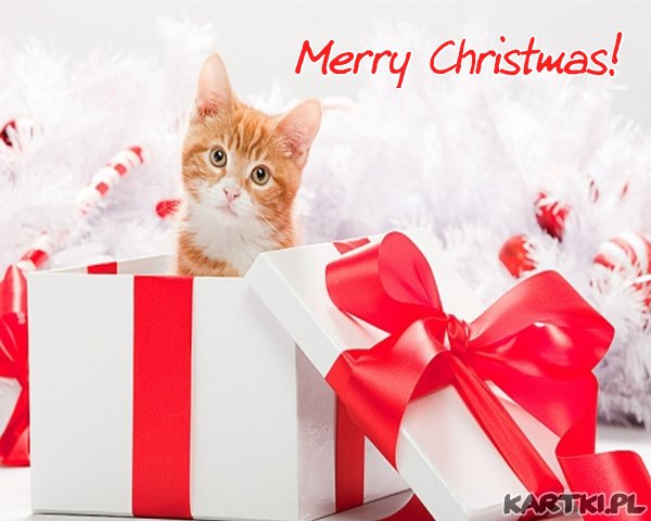 Merry Christmas