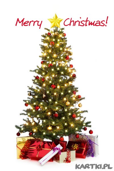 Merry Christmas